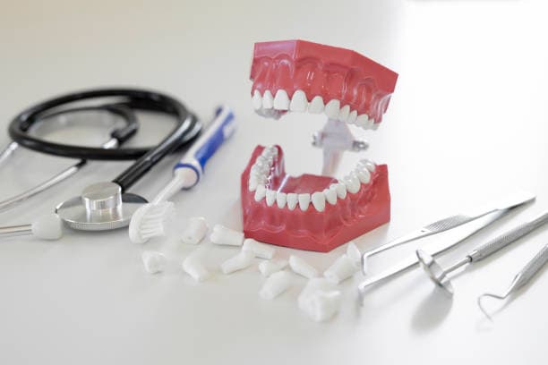 Japan Zirconia Implant Market Watch: Strategic Forecasts Amid Rising Economic Volatility